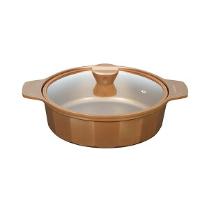 p[ VISIONS GOLD Coating IHΉ26cm CP-8805