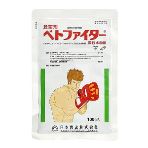 {B xgt@C^[a100g 4961010495216