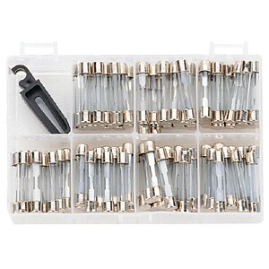 y[J[zJTCI[gc[Y #KXǃq[Y JTC2025 KXǃq[Y JTC2025 SST H 