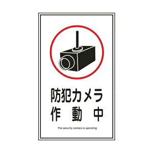 日本緑十字社:緑十字　イラストステッカー標識　防犯カメラ作動中　貼123　200×120mm　10枚組 047123 オレンジブック 8148548