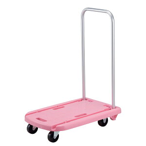 p[ 炭炭yʃt@~[J[gisNj D-2790