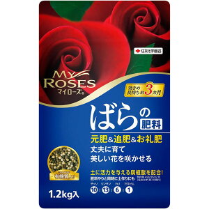 ZFw| }C[Y ΂̔엿 450g/700g/1kg }OlVEz  ǔ  2`3  x o Ɍ엿 KN 9 H  ܂ At Aւ y h{ yÂ {