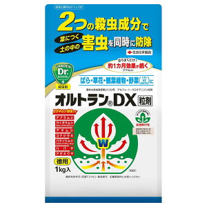 ZFw| IgDX E 200g/1kg E ܂ 1Ԏ Aւ At Q ގ AuV  RKlV ΍ aC JCKV \h no`   񂹕t