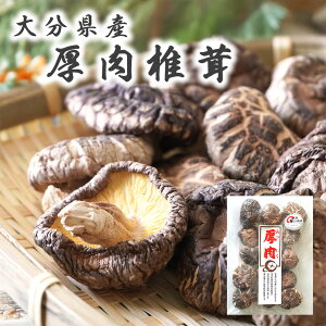 啪Y  ő 60g  啪  E_ƈYF  ő   VC^P [ 
