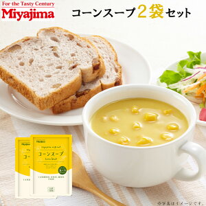 {ݖ R[X[v 150g×2 (v300g) gg X[v R[ Ƃ낱 ύ [ 