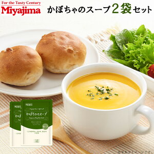 {ݖ ڂ̃X[v 150g×2 (v300g) gg X[v kCY ڂ ύ [ 
