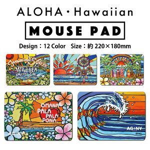 }EXpbh  킢 CO nCA }EX IWi An nC T[t@[ T[t C 썑 ԕ  r[` vA T}[ hawaii aloha California surf - Surf Rider Rainbow2