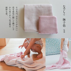 y{ K[[ oX^Izӂbtb3dK[[ 100b55×130cmbzEE₷bԂExr[`lɁboYjEEv[gɂ