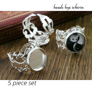 ~[M(12mm)tfUCO Vo[J[(⃁bL) 5Zbg