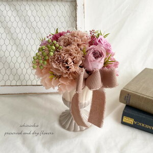 oƃJ[lṼEhAWg Mtg v[g 蕨 ei t[AWg a sN  vU[uht[ hCt[ z   