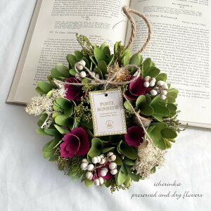 荠i v`v ʔNO[[X hCt[ hA[X [X v[g Mtg 蕨  sN  bsO a ̓ j Vzj J