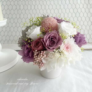 䋟 EhAW`sNp[v`  䋟 䋟 ~   d 㕧d ybgd  L 蕨 AWg vU[uht[ ͂Ȃ  sN 