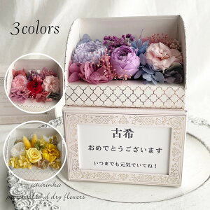  bZ[WAW{bNX Ď P  җ Ê  P F CG[ v[g Mtg 蕨 j a vU[uht[ hCt[ ʐ^ t