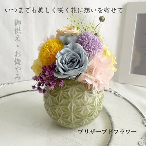 䋟 ̋  pXeJ[ @v  䋟 䋟 ~    d 㕧d ybgd  L 蕨 AWg vU[uht[ ͂Ȃ  sN e 
