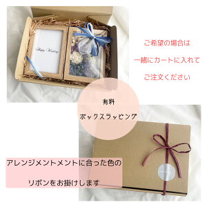 p{bNXbsO tHgt[{bNX vU[uht[ hCt[  [Y o JSAW ϗtA t[Mtg  蕨 a JXj JƏj 