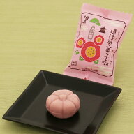 【公式】道後夢菓子噺どうごむかしばなし（椿）1個【四国 愛媛 松山 道後 温泉 飛鳥乃湯　和菓子 生菓子 …
