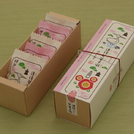 【公式】道後夢菓子噺どうごむかしばなし5個入【四国 愛媛 松山 道後 温泉 飛鳥乃湯 白鷺 椿　和菓子 生菓子 スイーツ ギフト お祝 お土産 プレゼント 贈答 旅行 おやつ お菓子 名物 名菓 人気 限定 柚子 餡子 こし餡 カステラ　老舗 のの字 工場直送 個包装】