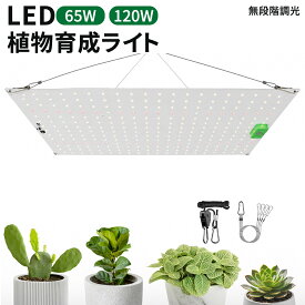 植物育成ライト LED パネルライト 65w/120w フルスペクトル 省エネ 高演色性 日照不足解消 広い照射範囲 植物成長 光合成 植物育成 室内栽培 植物ライト 植物照明 LEDライト 照明器具 観葉植物 多肉植物 塊根植物 水耕栽培