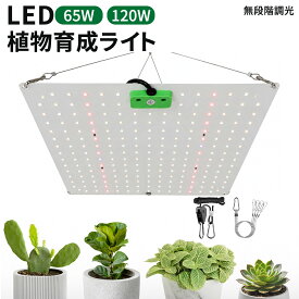植物育成ライト LED パネルライト 65w/120w フルスペクトル 省エネ 高演色性 日照不足解消 広い照射範囲 植物成長 光合成 植物育成 室内栽培 植物ライト 植物照明 LEDライト 照明器具 観葉植物 多肉植物 塊根植物 水耕栽培
