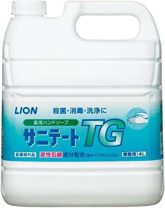 yƖppnh\[vzCI Tje[gTG 4L×2{ tΌz  E  ߃^Cv HX {