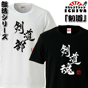 剣道 Tシャツの人気商品 通販 価格比較 価格 Com