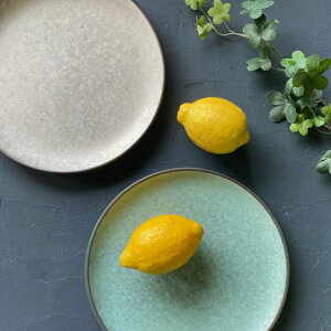 y }bg 23cmv[g a_ M a fBi[v[g fU[gv[g ^[RCYu[  yA ZĂ X^bLO X^bN dȂ H  amܒ   