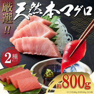 Ɋ{ VR{}O Ԑg 400g Ƃ 400g 2800gZbg LF vI VR}O VR{  hg ܂똥 芪i CN  ͂ ґ i  ܂ }O 