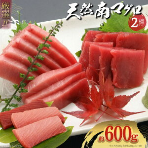 X얎 VR}O Ԑg 200g Ƃ 400g 2 600gZbg LF VR VR}O ƒ ȒP hg ܂똥 芪i CN  ͂ ґ Mtg v[g  }