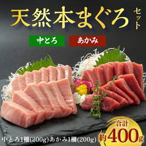 天然本マグロ おすすめ 赤身 200g 中トロ 200g 2種400gセット 天然本鮪 天然本まぐろ プロ厳選 天然マグロ 刺身 まぐろ丼 手巻き寿司 海鮮 お取り寄せ 贅沢 人気 鮪 まぐろ 本マグロ マグロ 本鮪
