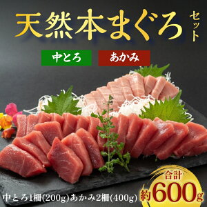 極寒本鮪 天然 本マグロ 赤身 400g 中とろ 200g 2種600gセット 豊洲直送プロ厳選 天然マグロ 国産 本まぐろ 刺身 まぐろ丼 手巻き 海鮮 お取り寄せ おうちごはん 贅沢 贈答 鮪 まぐろ マグロ 本鮪