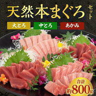 築地直送 アイルランド産 天然本マグロ 赤身2柵 中トロ1柵 大トロ1柵 合計800g 食べ比べセット 刺身用 ま…