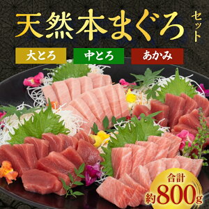 極寒本鮪 天然本マグロ 赤身400g 中とろ200g 大とろ200g 3種800gセット 豊洲直送 プロ厳選 天然マグロ 天然本鮪 国産 簡単調理 刺身 まぐろ丼 手巻き寿司 寿司 海鮮 お取り寄せ おうちごはん 贅沢
