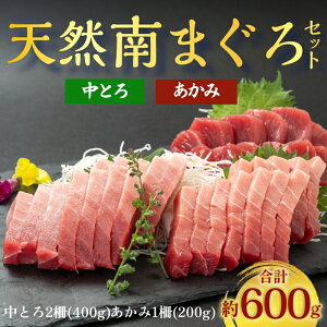 X얎 VR}O Ԑg 200g Ƃ 400g 2 600gZbg LF VR VR}O ƒ ȒP hg ܂똥 芪i CN  ͂ ґ Mtg v[g  }