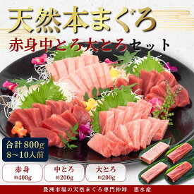 築地直送 アイルランド産 天然本マグロ 赤身2柵 中トロ1柵 大トロ1柵 合計800g 食べ比べセット 刺身用 まぐろ 鮪 海鮮 グルメ お取り寄せ ギフト 贈答 お歳暮 お中元 誕生日 内祝 お祝い 大容量 送料無料 冷凍 8人前 豊洲市場仲卸 プロ厳選 天然マグロ おうちごはん 国産