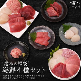 【海鮮の福袋】豪華海鮮4種セット 天然本マグロ あかみ せとろ たたき 北海道産 ホタテ貝柱 400g 送料無料 海鮮 ギフト 詰め合わせ 贈り物 お取り寄せ 冷凍食品 50代 60代 70代 人気 高級 実店舗で話題 SNSで話題 築地 直送 マグロ まぐろ 刺身 鮪 国産 御中元
