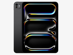 �u�V�i�viPad Pro (M4) 13�C���` Wi-Fi 256GB 2024�N�t���f�� MVX23J/A [�X�y�[�X�u���b�N] �{�� �y���[�z�y���������z�y�v���[���g�z