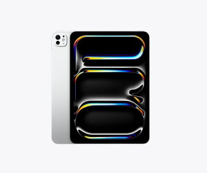 �u�V�i�viPad Pro(M5�`�b�v) 11�C���` Wi-Fi 256GB 2025�N�H���f�� MDWL4J/A [�V���o�[]�y���[�z�y�����y�z�y�v���[���g�z