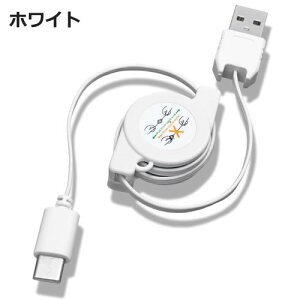 USB Type-C 莮P[u 10~70cmUSB Type-C(IX)-USB A(IX)ICONSHOP IC-TCWR01 [d f[^ʐMΉQC 3.0Ή [֑Ή