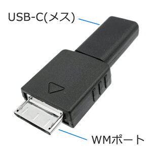 WALKMAN - USB Type-C ϊP[uWM|[g(IX)-USB Type-C(USB-C)(X)GXGXG[T[rX IC-STCFWKM[dEf[^]Ή