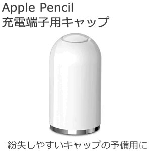 Apple Pencil 用 キャップ 1個入り充電端子用キャップキャップ紛失時の予備用にアップル ペンシル【ポスト投函便対応】【RCP】