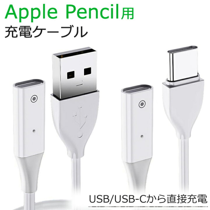 楽天市場】APPLE Pencil(第1世代)用充電ケーブル 1.0m 全2種(USB-C/USB 