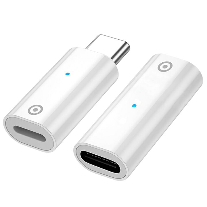 楽天市場】APPLE Pencil用充電コネクタ 2 Appleペンシル端子‐USBタイプ 