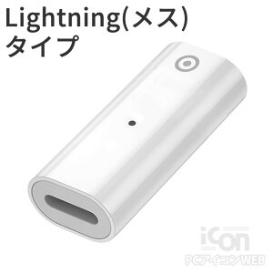 APPLE Pencil用充電コネクタ 2 Appleペンシル端子‐USBタイプC / Lightning ICONSHOP アップルペンシル 充電用iPad apple pencil コネクタ USB type-Cメール便配送対応【RCP】