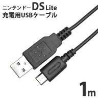 ニンテンドー DS Lite 専用 USB充電ケーブル 1.0mICONSHOP IC-DSL01【ポスト投函便対応】【RCP】土日も毎…