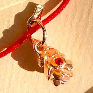 K10PG K10YG bhXsl ڂ } y_g pCR[ sNS[h ^Ot ؂̎ ʎ 'Pinecone'