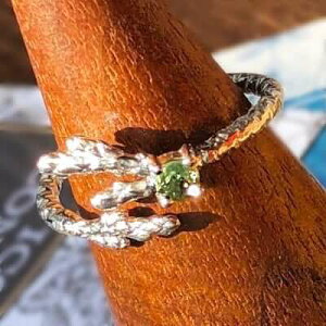 PT900 f}gChK[lbg O jt [t } I[vO Rjt@[ 'Conifer'