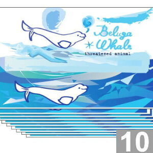 uVCJ̗Fv x[K bZ[WJ[h 10Zbg tY #Ŋ뜜퓮 ړI 'Beluga Whales' Ĕ