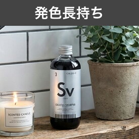 【正規販売店・最短翌日発送】送料無料期間中！CALATAS カラタス HEAT CARE シャンプー 250ml Sv シルバー ムラシャン対応 紫シャンプー ブリーチ毛 黄ばみ防止 寒色系カラー 色落ち防止 ダメージ補修 熱ダメージケア アミノ酸配合 紫外線ケア ノンシリコン