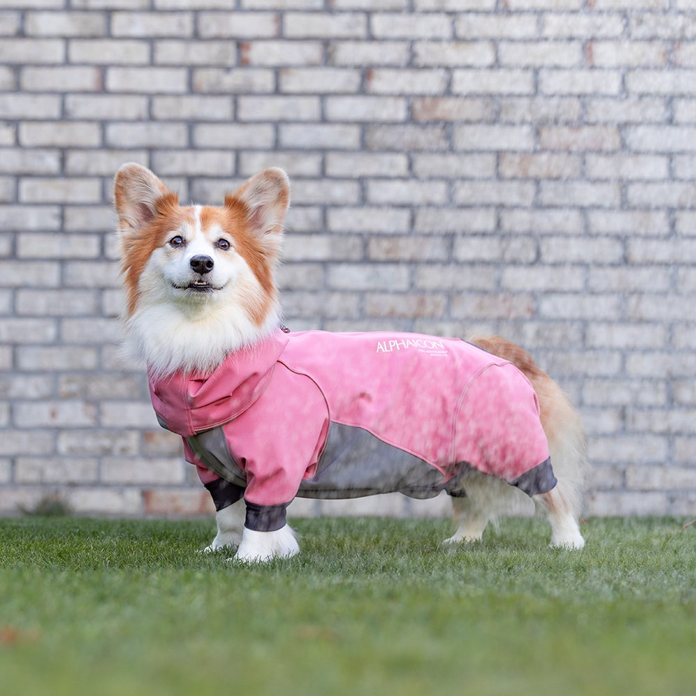 【即出荷】 【SALE】アルファアイコン FPL レインドッグガード（特殊サイズ）ピンク 犬用品