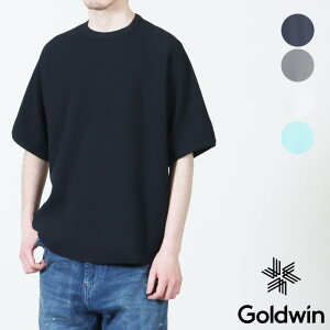 Goldwin (�S�[���h�E�B��) WF Light T-shirt / ���b�t�����C�g�e�B�[�V���c